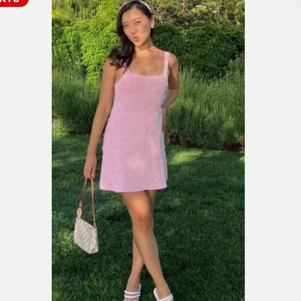 ZARA Pearl Trim Knit Mini Dress in Pink